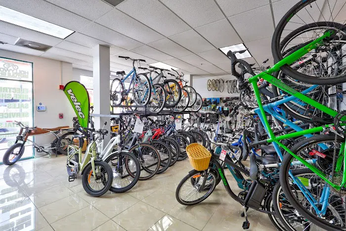 Hollywood Bicycle Shop Picture 7