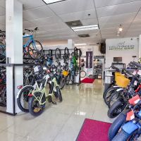 Hollywood Bicycle Shop ico