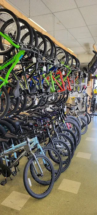 Lees Bicycle Shop Picture 8