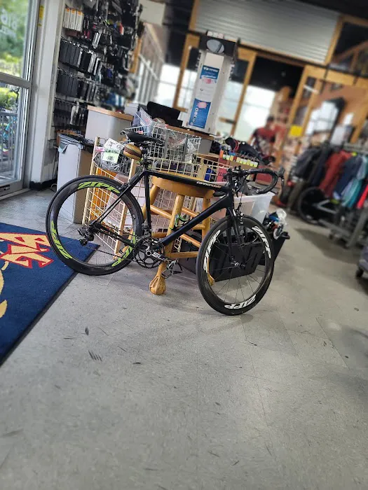 Big Wheel Bicycle USA Inc Picture 2