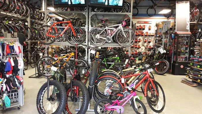 Big Wheel Bicycle USA Inc Picture 1