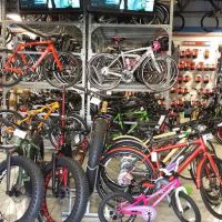 Big Wheel Bicycle USA Inc ico