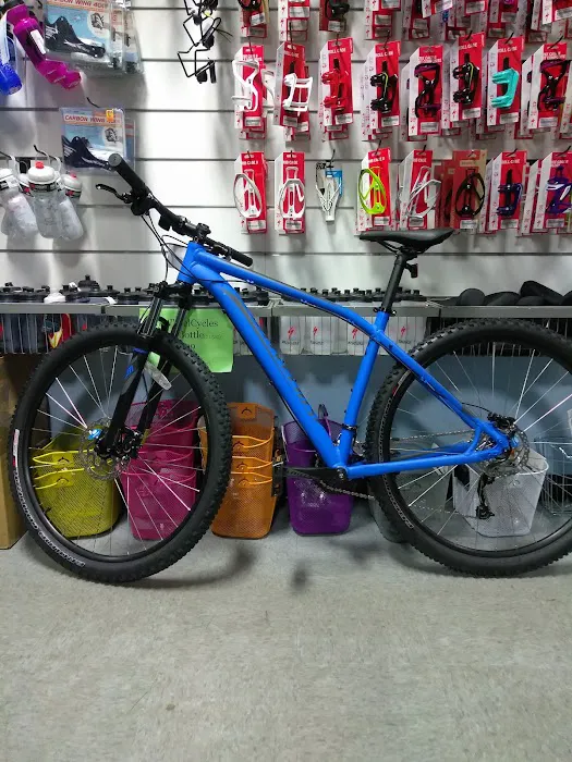 Big Wheel Bicycle USA Inc Picture 6