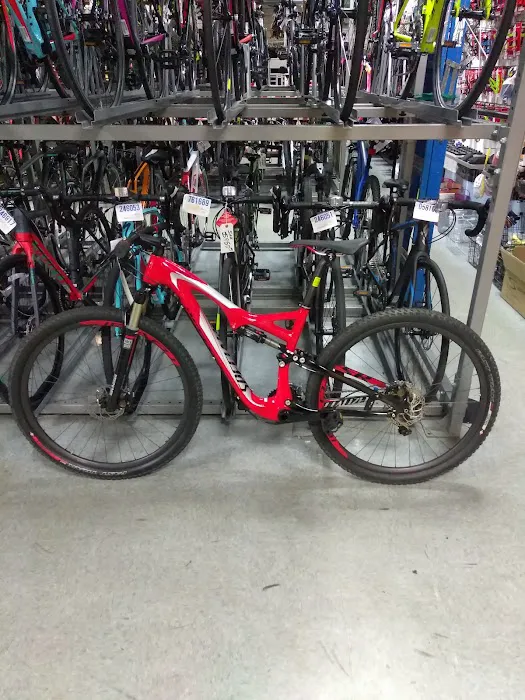 Big Wheel Bicycle USA Inc Picture 3