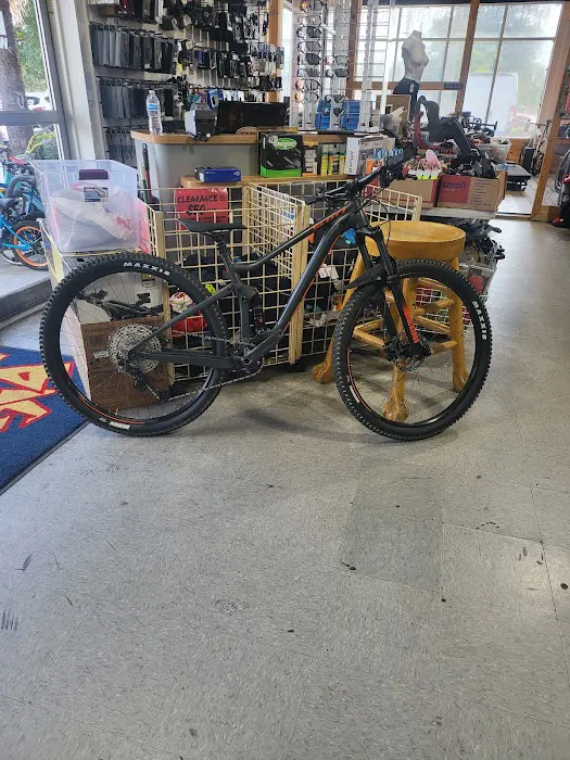Big Wheel Bicycle USA Inc Picture 7