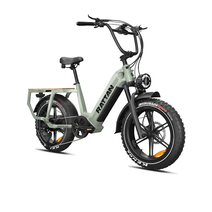 Epik Ridez Bikes Picture 2