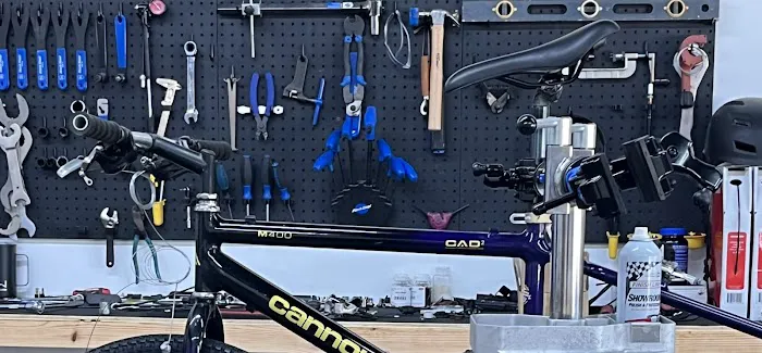 Willy'Z Bicycle Shop Picture 2