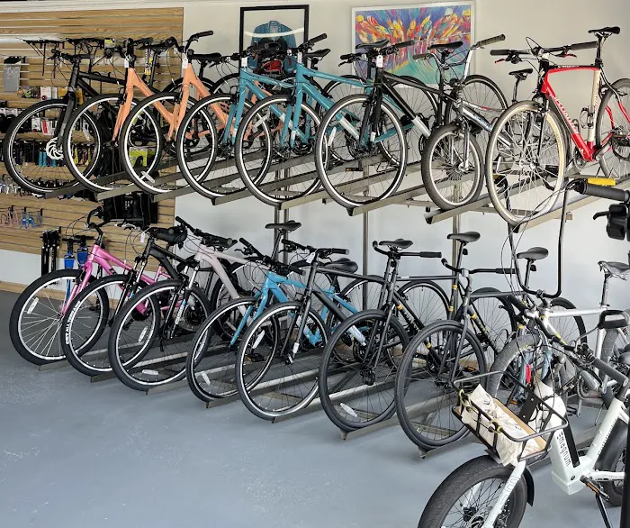 Willy'Z Bicycle Shop Picture 4