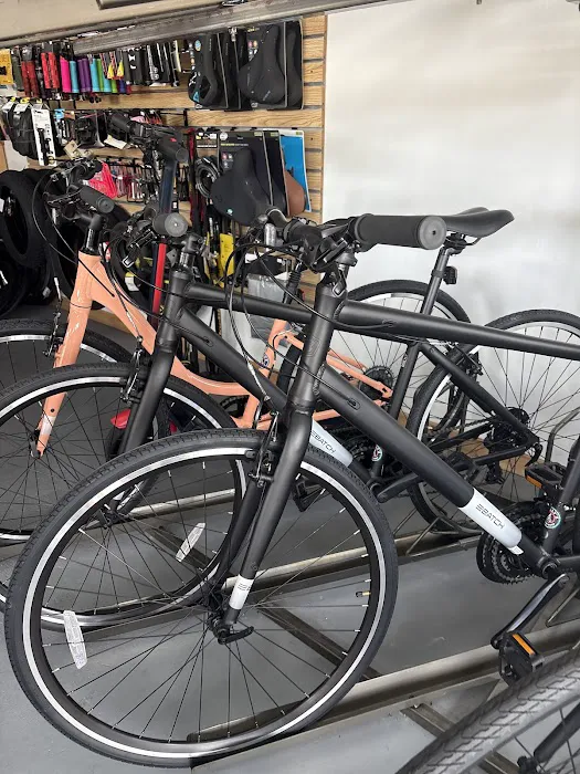 Willy'Z Bicycle Shop Picture 10