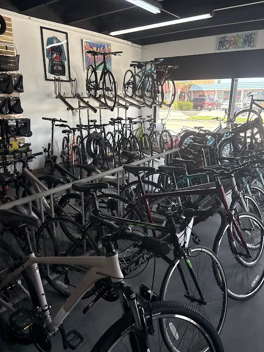 Willy'Z Bicycle Shop Picture 8
