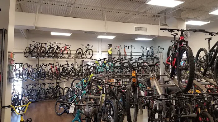 City Bikes Pembroke Pines Picture 3