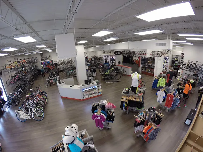 City Bikes Pembroke Pines Picture 7