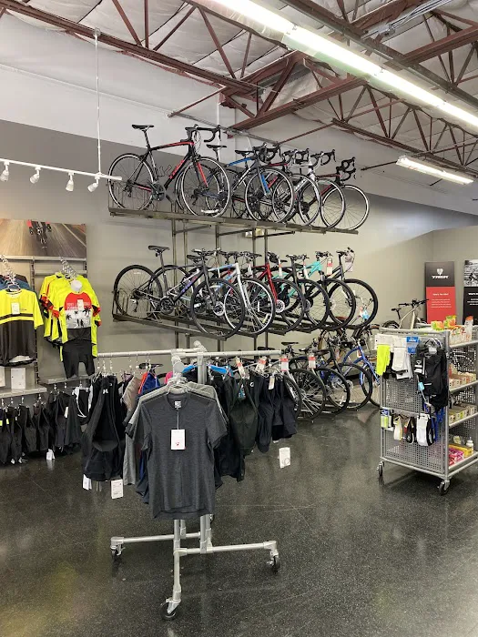 Trek Bike Shop of Fort Lauderdale Picture 4