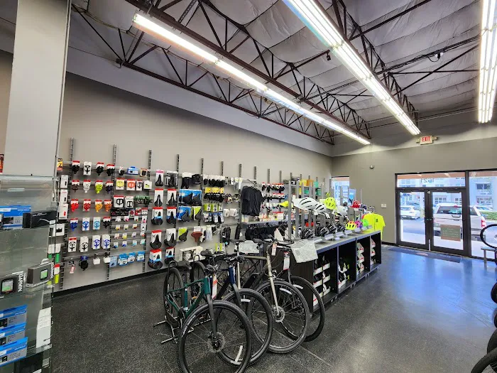 Trek Bike Shop of Fort Lauderdale Picture 3