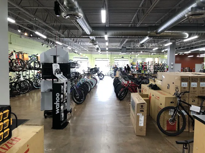 Conte's Bike Shop Picture 2