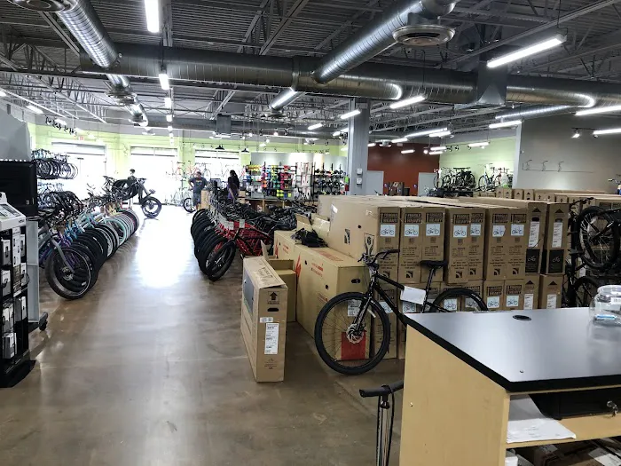Conte's Bike Shop Picture 3