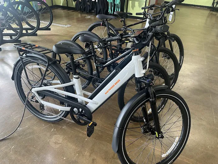 Conte's Bike Shop Picture 6