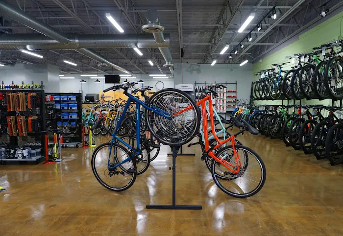 Conte's Bike Shop Picture 8