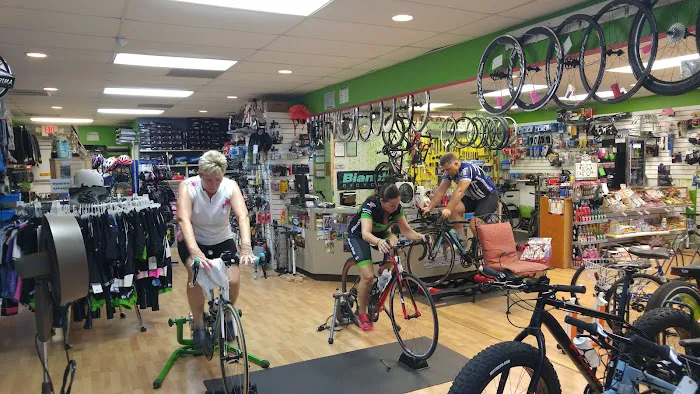 Alligator's Cycling Picture 5