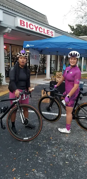 Alligator's Cycling Picture 4