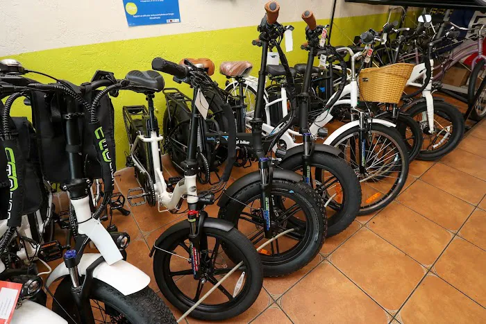 Homestead Bicycle Shop Picture 7