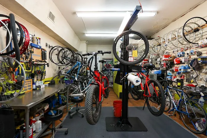 Homestead Bicycle Shop Picture 10