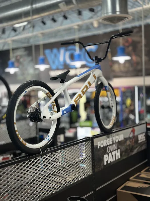 WORLD OF CYCLING Picture 4