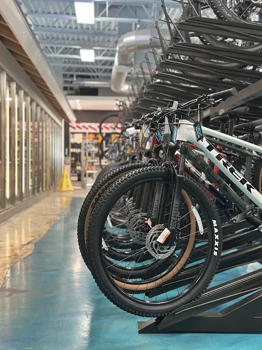 WORLD OF CYCLING Picture 10