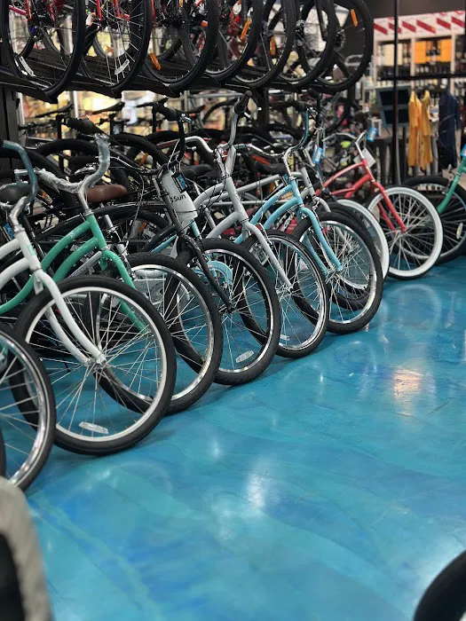 WORLD OF CYCLING Picture 3