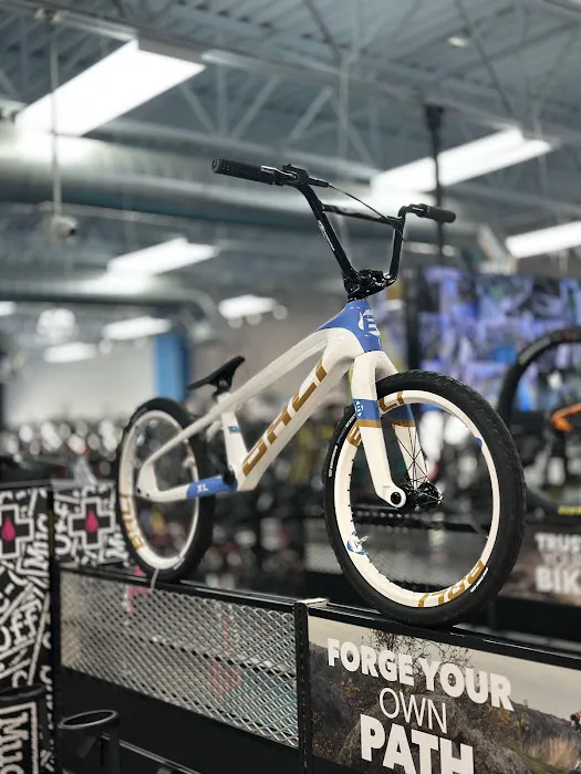 WORLD OF CYCLING Picture 2