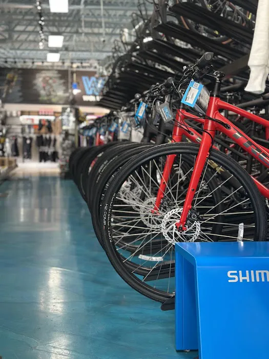 WORLD OF CYCLING Picture 8