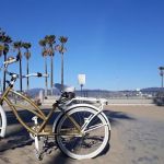 Vivelo - handcrafted, customized bicycles