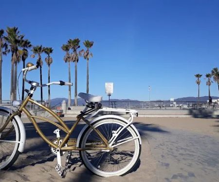 Vivelo - handcrafted, customized bicycles