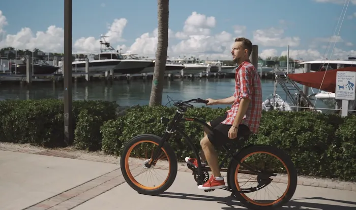 Vivelo - handcrafted, customized bicycles Picture 6