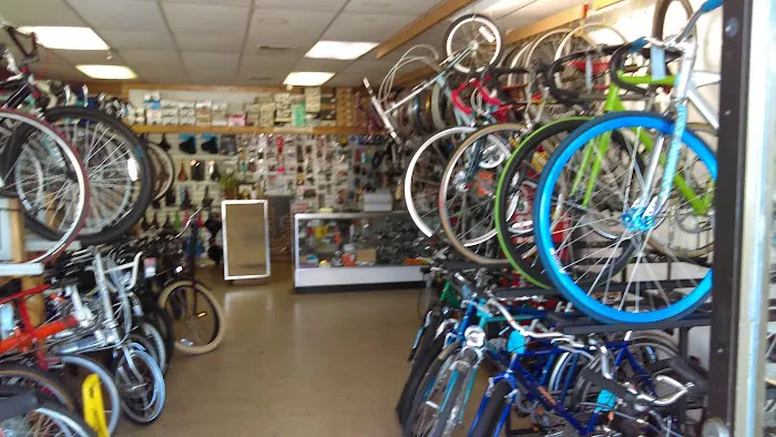 Bicycle Spot Picture 7
