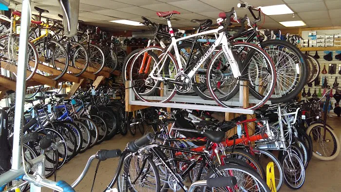 Bicycle Spot Picture 5