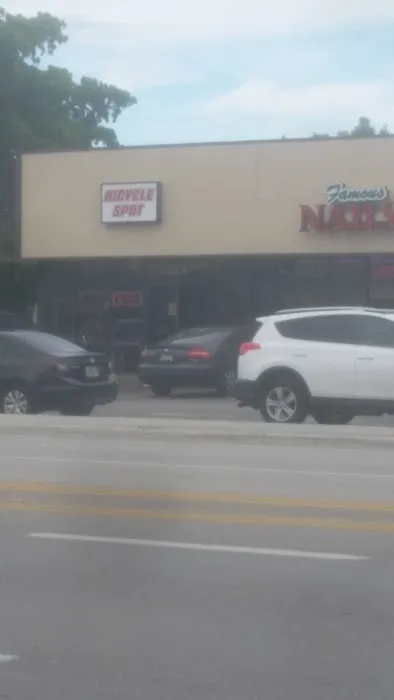 Bicycle Spot Picture 2