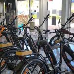 Big Cat Electric Bikes