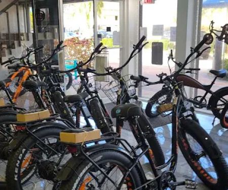 Big Cat Electric Bikes