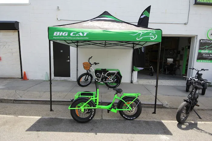 Big Cat Electric Bikes Picture 8
