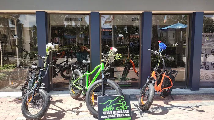 Big Cat Electric Bikes Picture 5