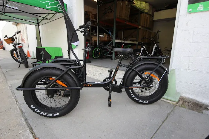 Big Cat Electric Bikes Picture 9