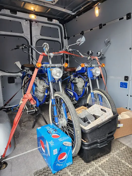Big Cat Electric Bikes Picture 6