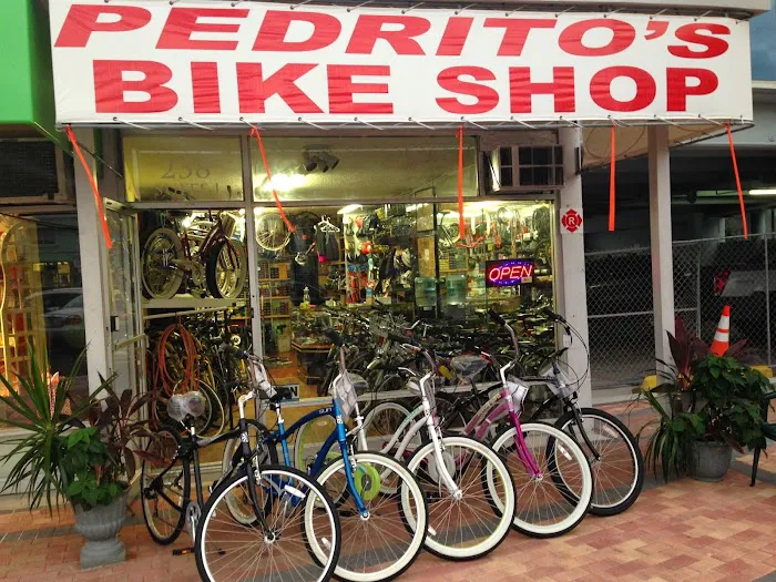 Pedrito's Bike Shop Picture 7