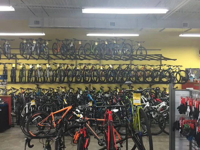 Mega Cycle Picture 2