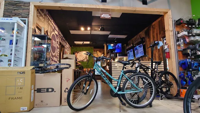 Alex's Bicycle Pro Shop Picture 1