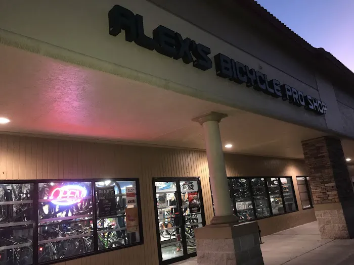 Alex's Bicycle Pro Shop Picture 2