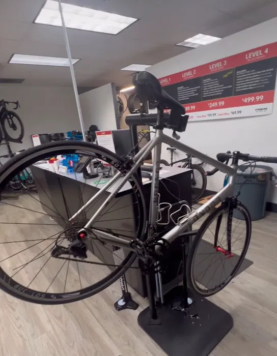 Trek Bike Shop of Pompano Beach Picture 6