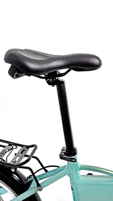 Enzoebike Electric folding ebike Picture 6