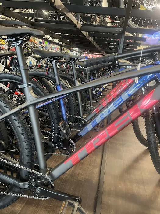 B & J BICYCLES TREK BIKE Shop Authorized Dearer Picture 6